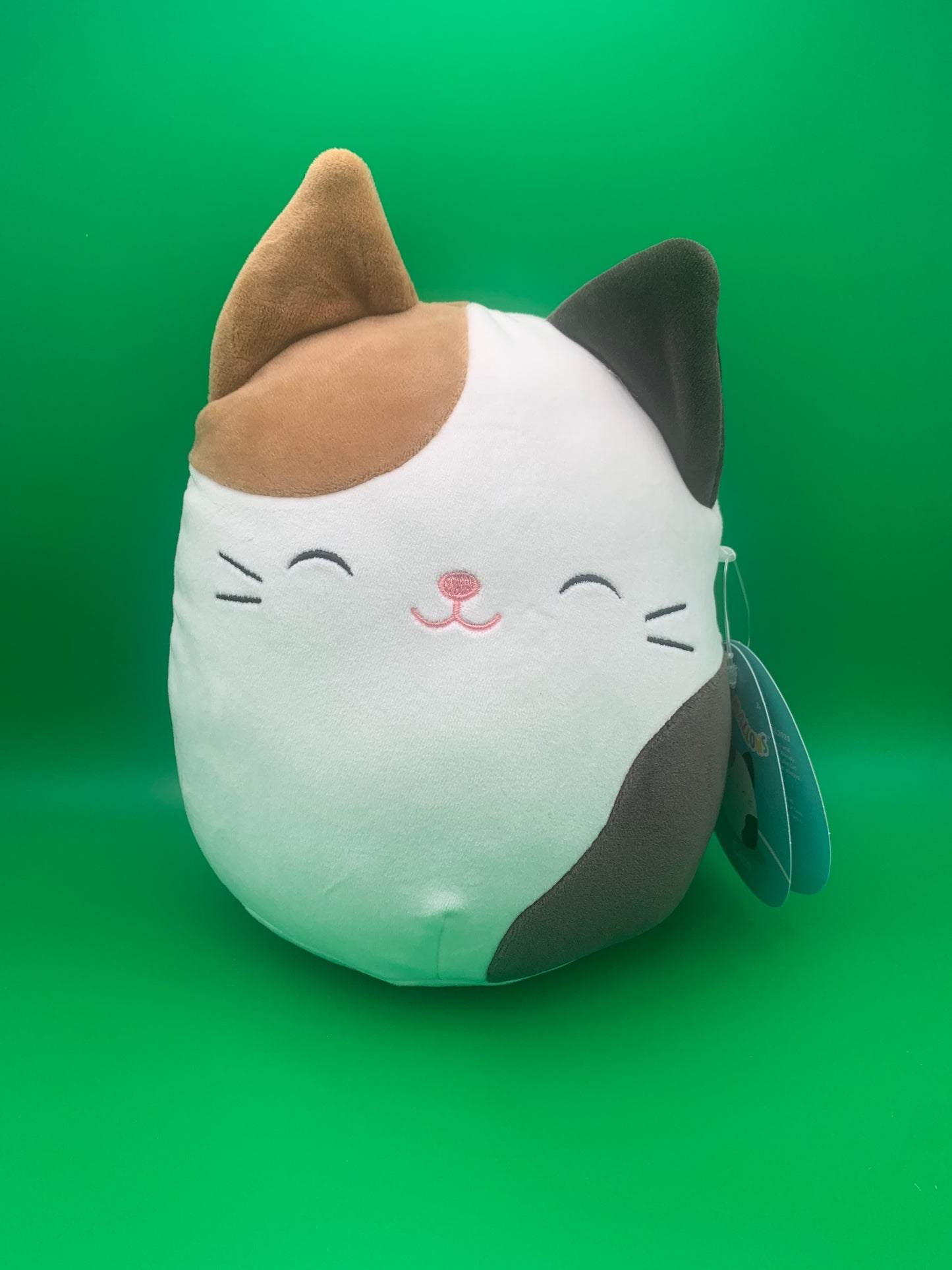 Squishmallow Cam the Cat 7.5 inch