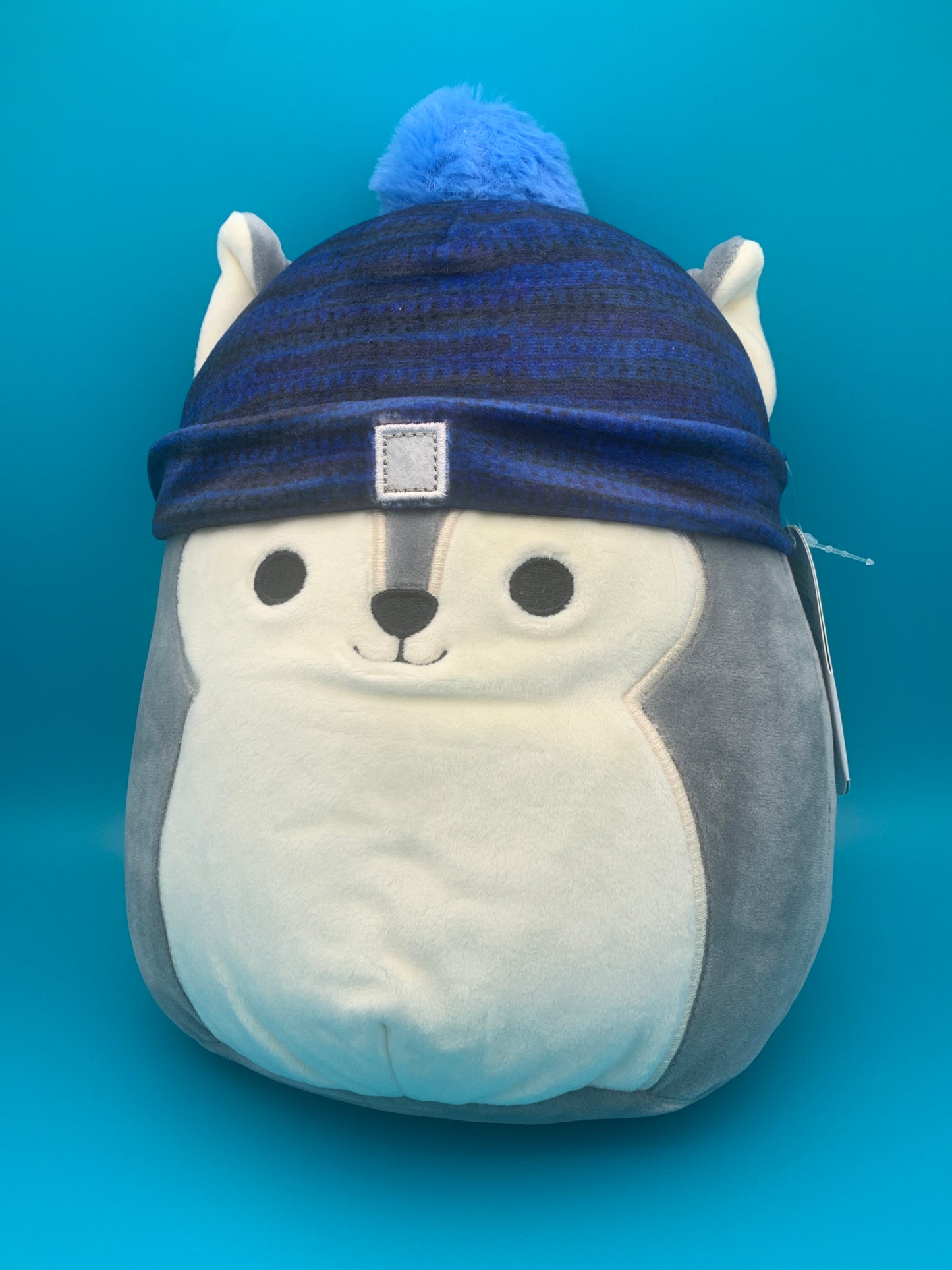 Squishmallow Tilman the Husky with Beanie 8" inch - Scratch on Hanger Tag