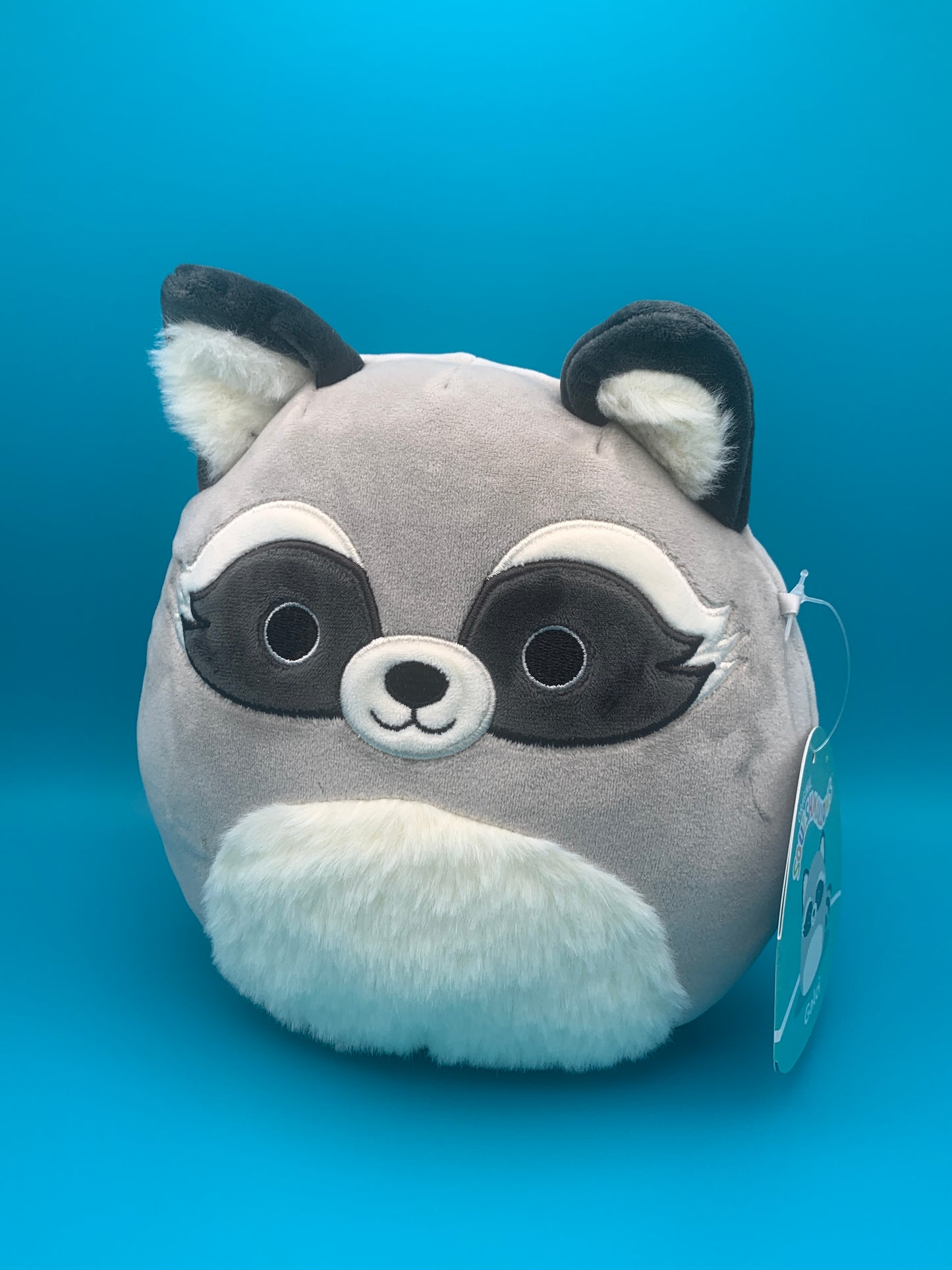 Squishmallow Galci the Raccoon 7.5 inch