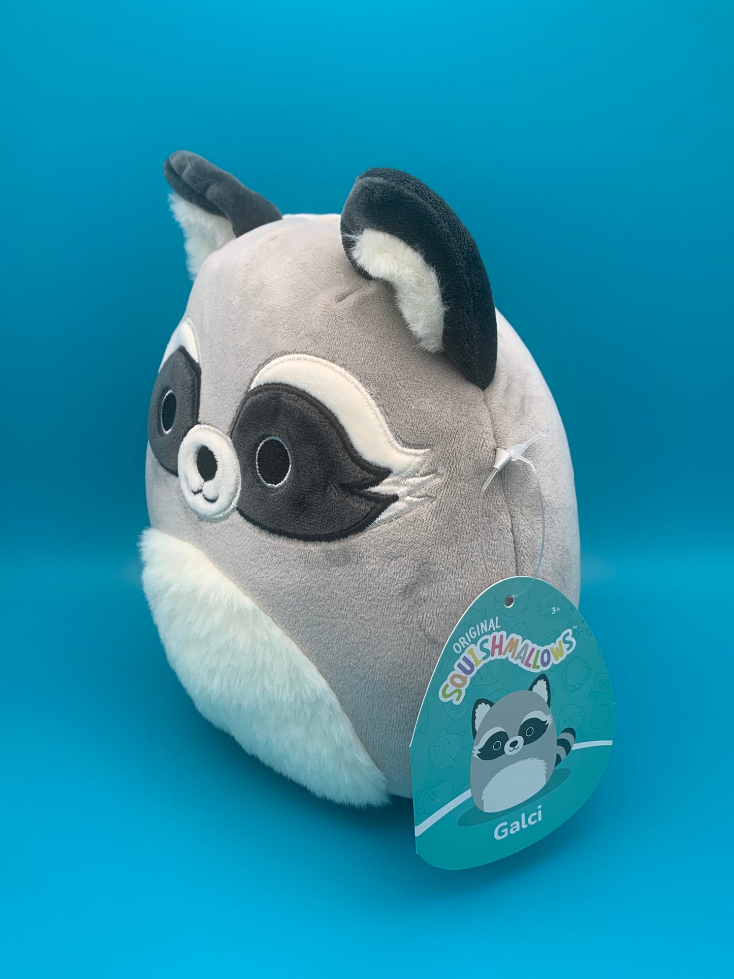 Squishmallow Galci the Raccoon 7.5 inch